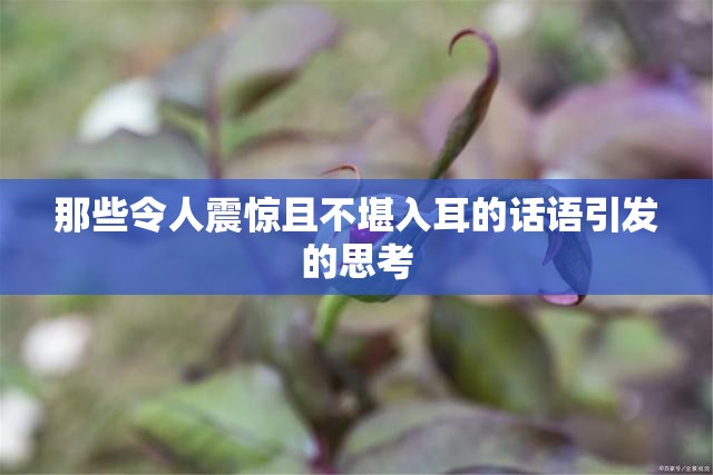 那些令人震惊且不堪入耳的话语引发的思考