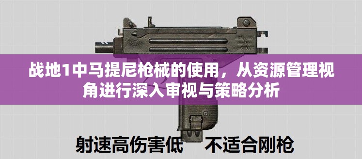 战地1中马提尼枪械的使用，从资源管理视角进行深入审视与策略分析