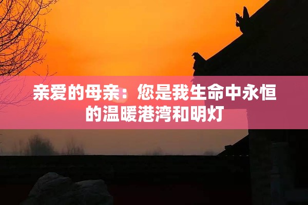 亲爱的母亲：您是我生命中永恒的温暖港湾和明灯