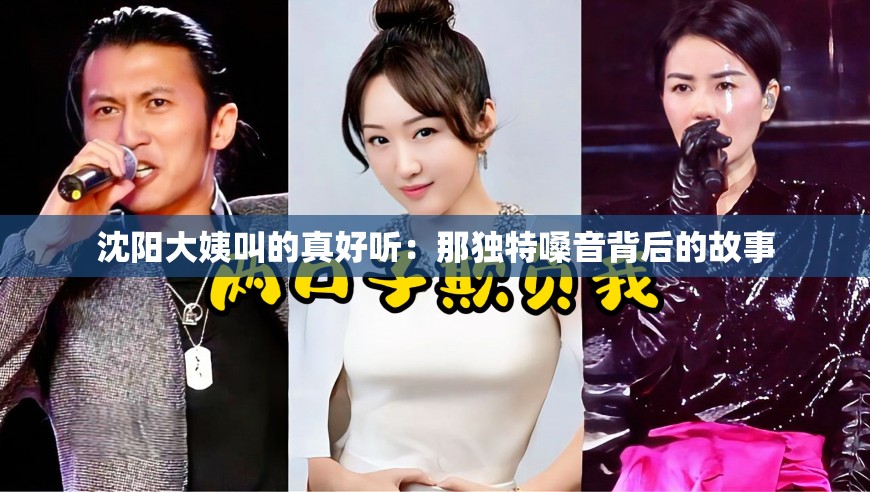 沈阳大姨叫的真好听：那独特嗓音背后的故事