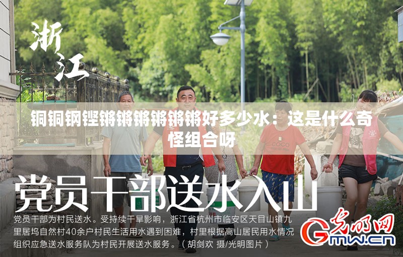 铜铜钢铿锵锵锵锵锵锵好多少水：这是什么奇怪组合呀