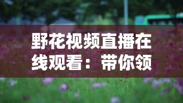 野花视频直播在线观看：带你领略多彩的自然世界