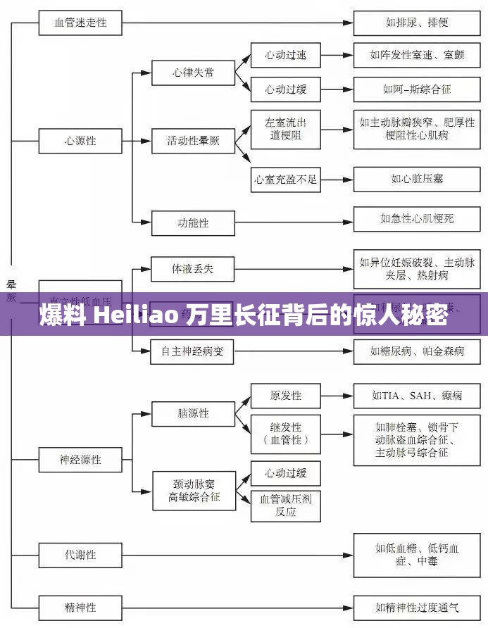爆料 Heiliao 万里长征背后的惊人秘密