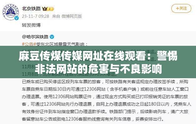 麻豆传煤传媒网址在线观看：警惕非法网站的危害与不良影响