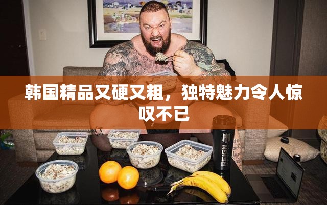 韩国精品又硬又粗，独特魅力令人惊叹不已
