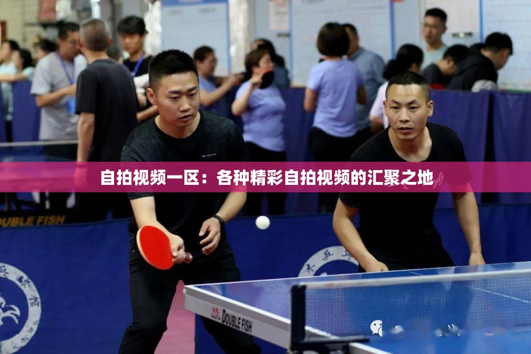 自拍视频一区：各种精彩自拍视频的汇聚之地