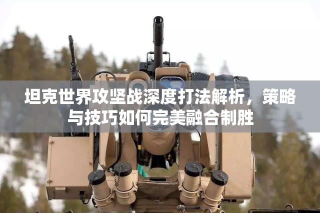 坦克世界攻坚战深度打法解析，策略与技巧如何完美融合制胜