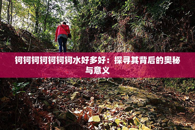 钶钶钶钶钶钶钶水好多好：探寻其背后的奥秘与意义