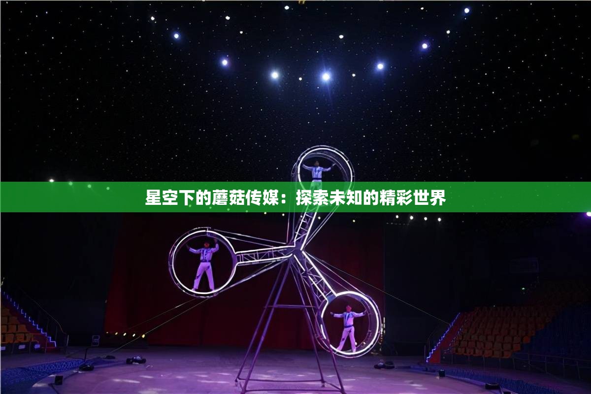 星空下的蘑菇传媒：探索未知的精彩世界