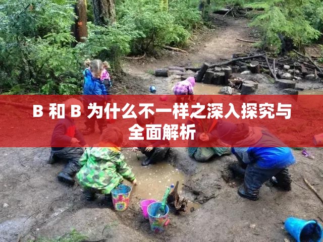 B 和 B 为什么不一样之深入探究与全面解析