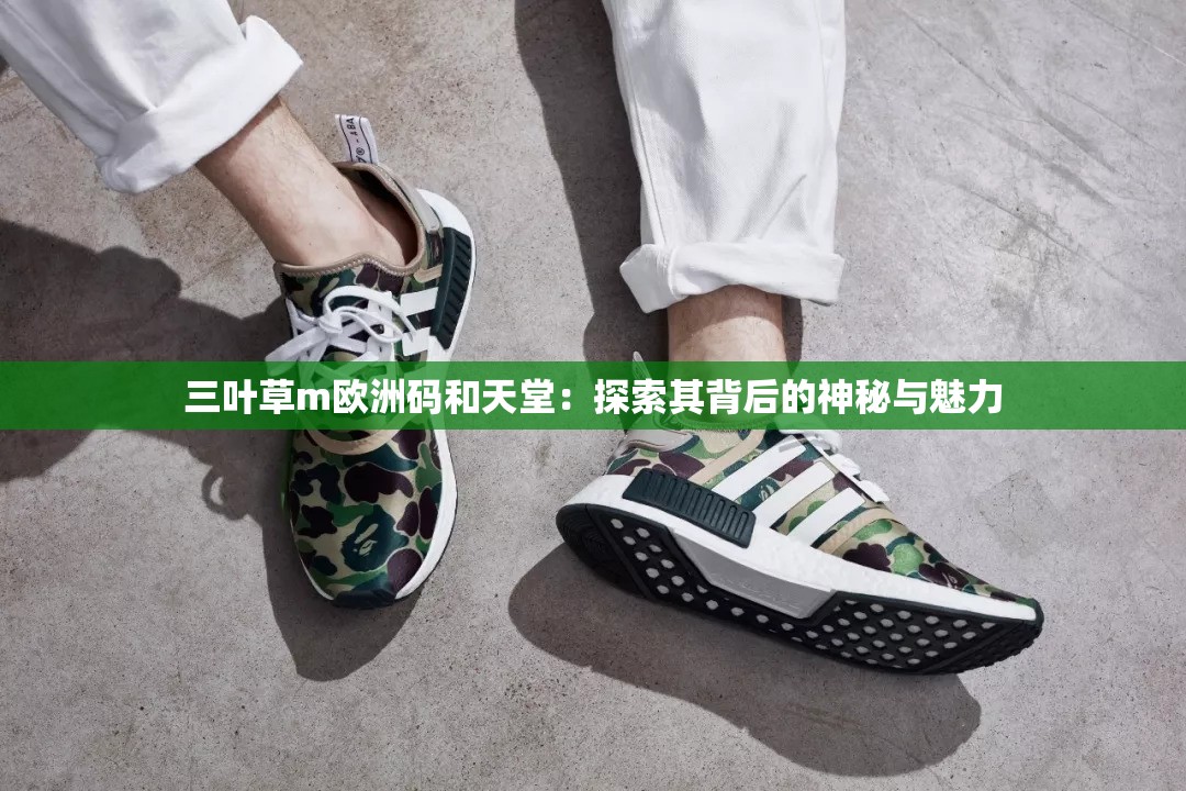 三叶草m欧洲码和天堂：探索其背后的神秘与魅力