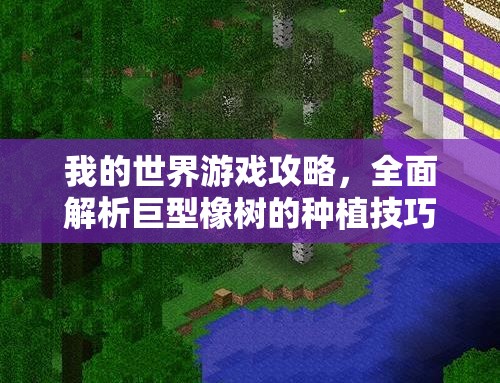 我的世界游戏攻略，全面解析巨型橡树的种植技巧与方法