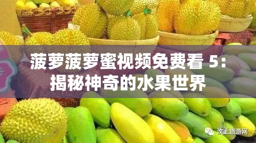 菠萝菠萝蜜视频免费看 5：揭秘神奇的水果世界
