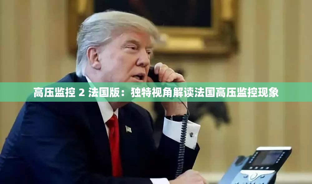 高压监控 2 法国版：独特视角解读法国高压监控现象