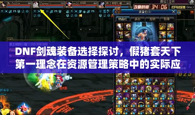 DNF剑魂装备选择探讨，假猪套天下第一理念在资源管理策略中的实际应用