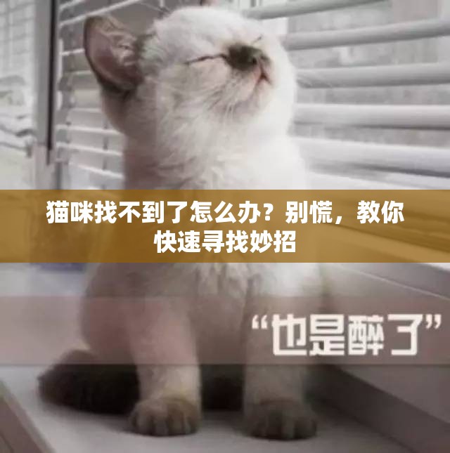 猫咪找不到了怎么办？别慌，教你快速寻找妙招