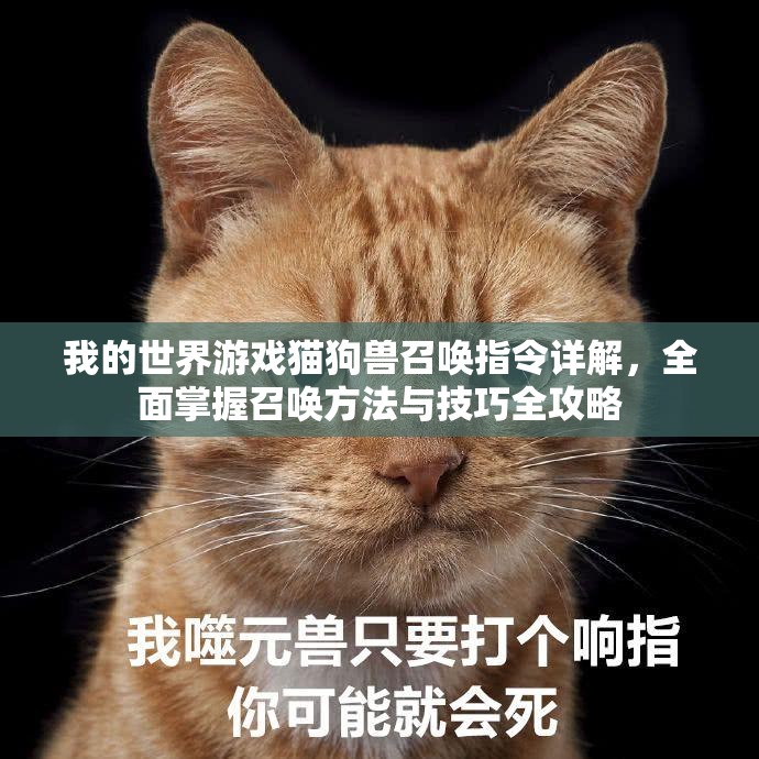 我的世界游戏猫狗兽召唤指令详解，全面掌握召唤方法与技巧全攻略