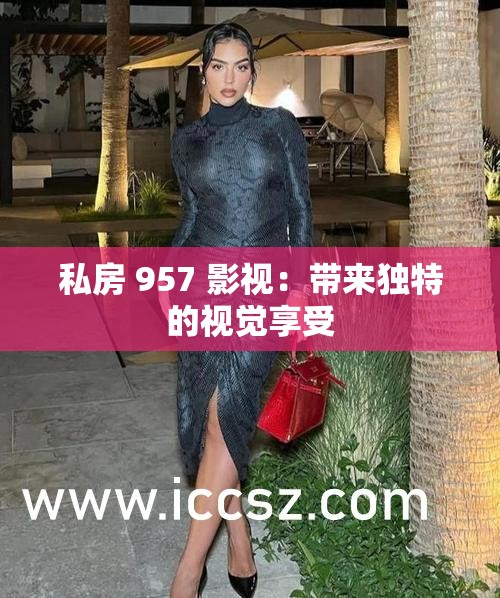 私房 957 影视：带来独特的视觉享受