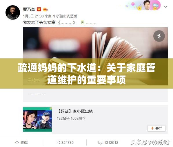 疏通妈妈的下水道：关于家庭管道维护的重要事项