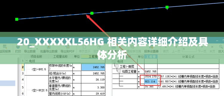 20_XXXXXL56HG 相关内容详细介绍及具体分析