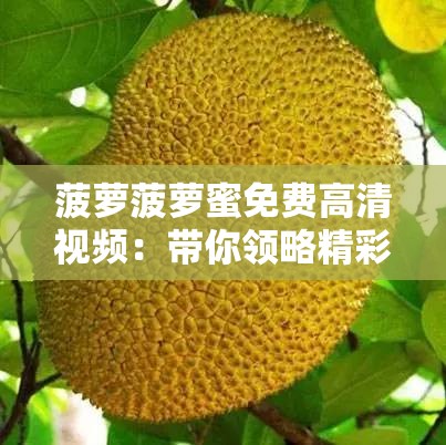 菠萝菠萝蜜免费高清视频：带你领略精彩的视觉盛宴