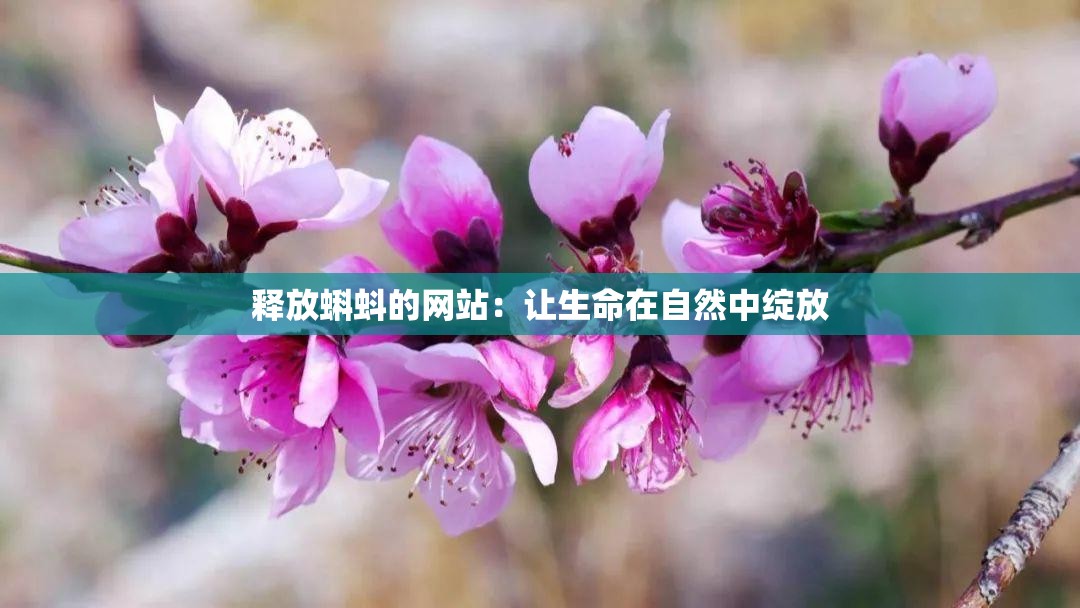 释放蝌蚪的网站：让生命在自然中绽放