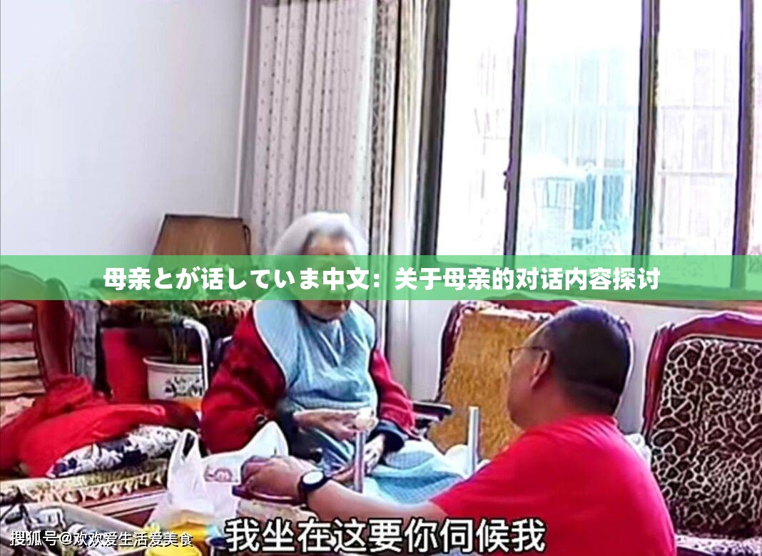 母亲とが话していま中文：关于母亲的对话内容探讨