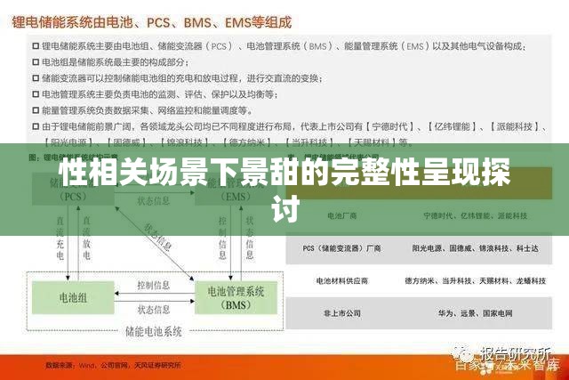 性相关场景下景甜的完整性呈现探讨