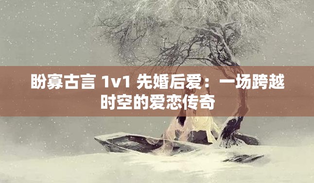 盼寡古言 1v1 先婚后爱：一场跨越时空的爱恋传奇