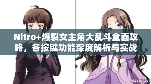 Nitro+爆裂女主角大乱斗全面攻略，各按键功能深度解析与实战高效管理策略
