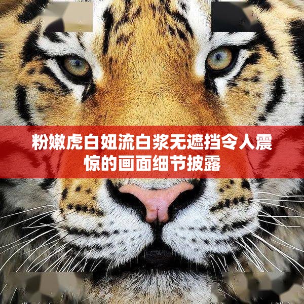 粉嫩虎白妞流白浆无遮挡令人震惊的画面细节披露
