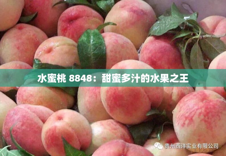 水蜜桃 8848：甜蜜多汁的水果之王
