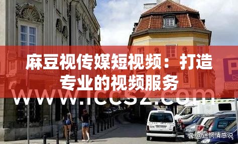 麻豆视传媒短视频：打造专业的视频服务
