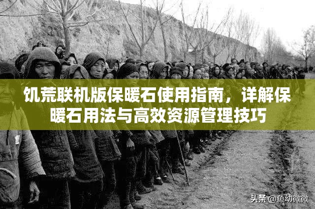 饥荒联机版保暖石使用指南，详解保暖石用法与高效资源管理技巧