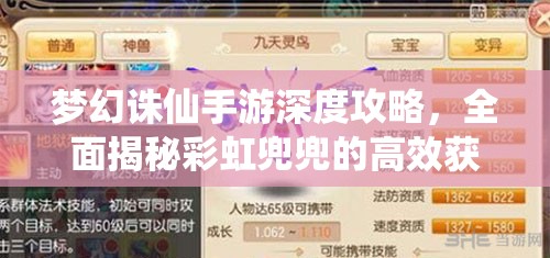 梦幻诛仙手游深度攻略，全面揭秘彩虹兜兜的高效获取秘籍