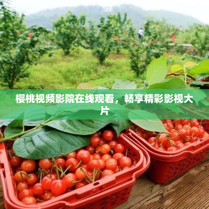 樱桃视频影院在线观看，畅享精彩影视大片