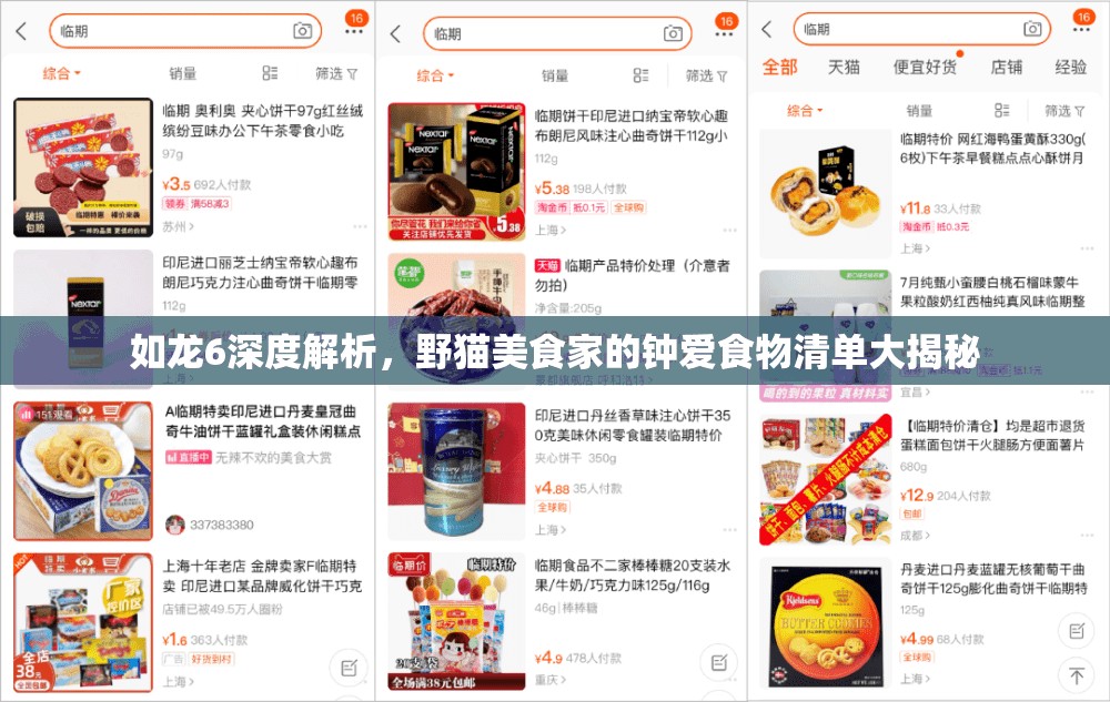 如龙6深度解析，野猫美食家的钟爱食物清单大揭秘