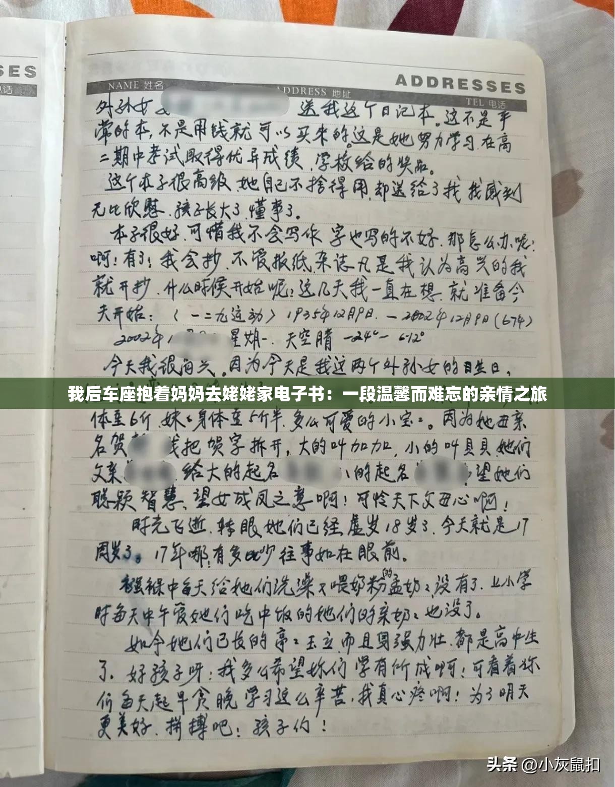 我后车座抱着妈妈去姥姥家电子书：一段温馨而难忘的亲情之旅