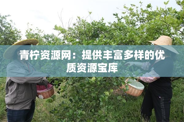 青柠资源网：提供丰富多样的优质资源宝库