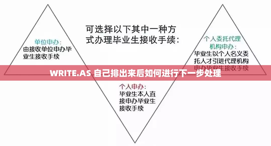 WRITE.AS 自己排出来后如何进行下一步处理