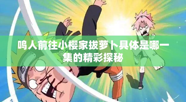鸣人前往小樱家拔萝卜具体是哪一集的精彩探秘
