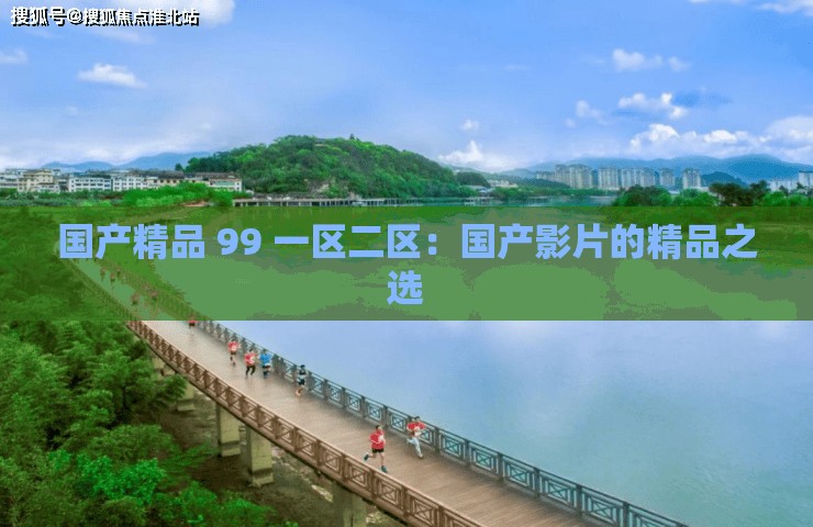 国产精品 99 一区二区：国产影片的精品之选