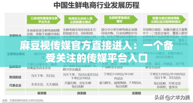 麻豆视传媒官方直接进入：一个备受关注的传媒平台入口