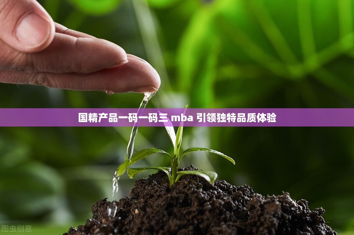 国精产品一码一码三 mba 引领独特品质体验