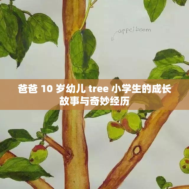 爸爸 10 岁幼儿 tree 小学生的成长故事与奇妙经历