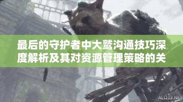 最后的守护者中大鹫沟通技巧深度解析及其对资源管理策略的关键作用
