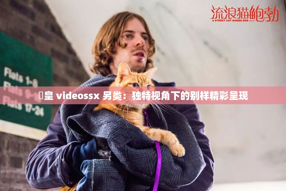 嘼皇 videossx 另类：独特视角下的别样精彩呈现