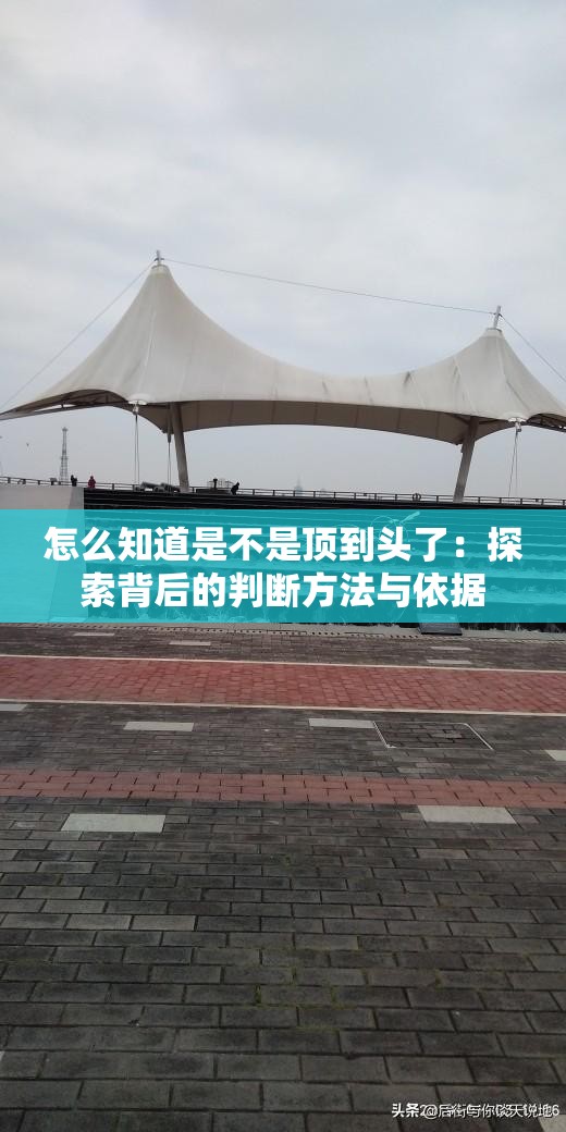 怎么知道是不是顶到头了：探索背后的判断方法与依据