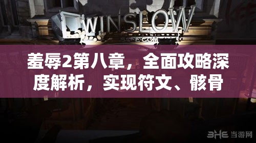 羞辱2第八章，全面攻略深度解析，实现符文、骸骨、作画全收集