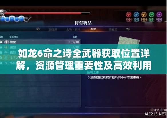 如龙6命之诗全武器获取位置详解，资源管理重要性及高效利用策略指南